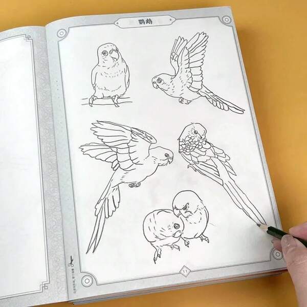 Line Control Drawing Training Book, Depicting Landscapes, Plants, Animals, Flowers And Birds, People And Other Themes, Ideal Learning Tool For Boys, Girls, Drawing Enthusiasts And Beginners. Suitable For Daily Practice, Home Education, Classroom Teaching, Drawing Sketchbook, Red Pen Control Training Notebook, Also Can Be Used As Stationery Gift, Birthday And Holiday Gift