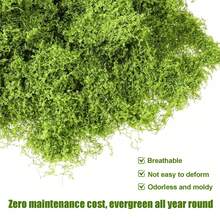 Tifaealis Light Green Artificial Moss Panel 1m X 1m (39.37" X 39.37"), Seamless Faux Moss Mat For DIY Green Walls, Photography Backdrops, Event Decoration, Home & Commercial Decor - 青檸色 - 查看 5