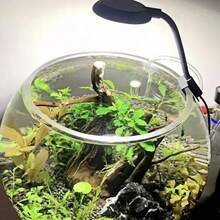 1 pieza Mini Luz LED de Clip para Acuario, Alimentada por USB, Alta Luminosidad, Transparente, Rotación Ajustable de 360°, Adecuada para Tanque de Peces - Iluminación Compacta de Escritorio para Plantas Acuáticas - Multicolor - View 1