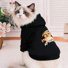 寵物衣服 狗衛衣 秋冬款 小貓 英國短毛貓 冬季保暖衛衣 寵物衣服 泰迪貓 小狗 小幼犬 比熊 貴賓犬 寵物衣服 冬季黑色 - 黑色 - 查看 3