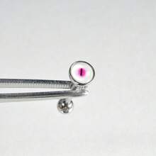 Pink Pupil Cat Stainless Steel Tongue Piercing, Niche Cute Cat Eye Hot Girl Tongue Stud, External Thread, Suitable For Drinking - White - View 16