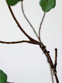ZaiYe 3PCS, Artificial Azalea Branches, Lifelike Simulated Green Leaf Branches, Simple Zen Style Artificial Green Plants, Suitable For Indoor Home Table Decoration, Festival And Wedding Decorations - Multicolor - View 8