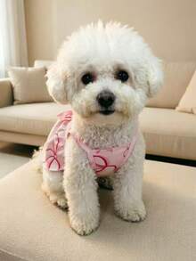 Teddy Bichon Exclusive Pink Bow Princess Dress, Breathable Lightweight Style For Spring And Summer, Cute Must-Have For Outings! - Pink - View 4
