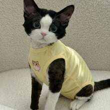 Devon Rex Cat Clothes Summer Thin Sphynx Hairless Cat Anti-Shedding Cartoon Print Four-Legged Pet Apparel - Yellow - View 4