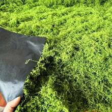 Tifaealis Light Green Artificial Moss Panel 1m X 1m (39.37" X 39.37"), Seamless Faux Moss Mat For DIY Green Walls, Photography Backdrops, Event Decoration, Home & Commercial Decor - 青檸色 - 查看 6