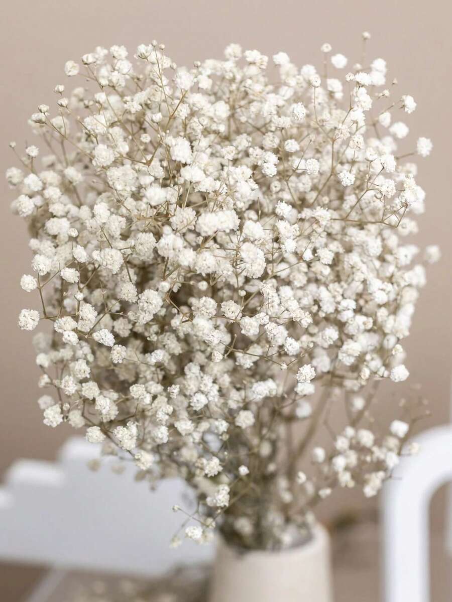 1900+ 朵仿真满天星花束,人造花,满天星盆栽,适用于婚礼新娘捧花、家居装饰、桌面摆设、花瓶填充、DIY 花艺装饰(适用于婚礼和节日)、房间装饰、情人节、生日礼物、毕业礼物、花园装饰、户外植物、园艺、人造花 - 白綠色 - 查看 1