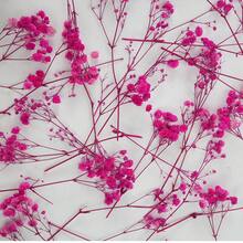 100/50pcs White Baby's Breath Mini Artificial Flowers - Vibrant Dyed Faux Flowers, Suitable For Wedding Decor, Invitation Envelope Decor, DIY Crafts, Corsages, Home Decor, Tabletop Decor, Office Decor - Multicolor - View 10