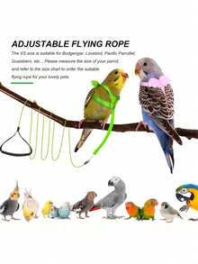 Anti-Bite Flight Training Rope Parrot Pet Leash Set, Ultra-Light Chest Harness Leash, Soft Portable Pet Toy - Multicolor - View 13