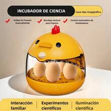 Automatic Egg Incubator For 5 Eggs - Small And Portable - Yellow - View 4
