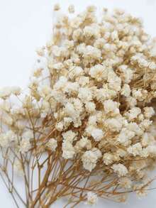 25/50/100/150/300pcs Mini Baby's Breath And Other Artificial Flowers - For Resin Mold Art And Handicrafts, Colorful Flower Bouquets For Hair Accessories, Wedding Wreaths, Table Flowers, Home Decor, Etc. - For Resin Mold Art And Handicrafts, Ivory White Flower Bouquets For Hair Accessories, Wedding Wreaths, Table Flowers And Home Decor. - Apricot - View 4