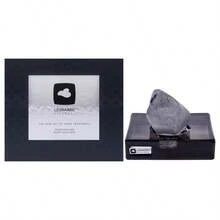 Leonardo Essenza Diffuser Set Black 2Pc Set - Clear - View 1