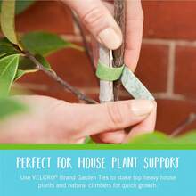 ONE-WRAP Garden Ties | Plant Supports For Effective Growing | Strong Grips Are Reusable And Adjustable | Cut-To-Length, 50 Ft X 1/2 In, Green- Plastic - A - View 2