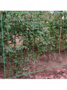 1件裝植物攀爬網 綠色正方形網格 吊掛式小黃瓜網格架 附雛菊花飾 防風防塌園藝用網 - 多色 - 查看 1