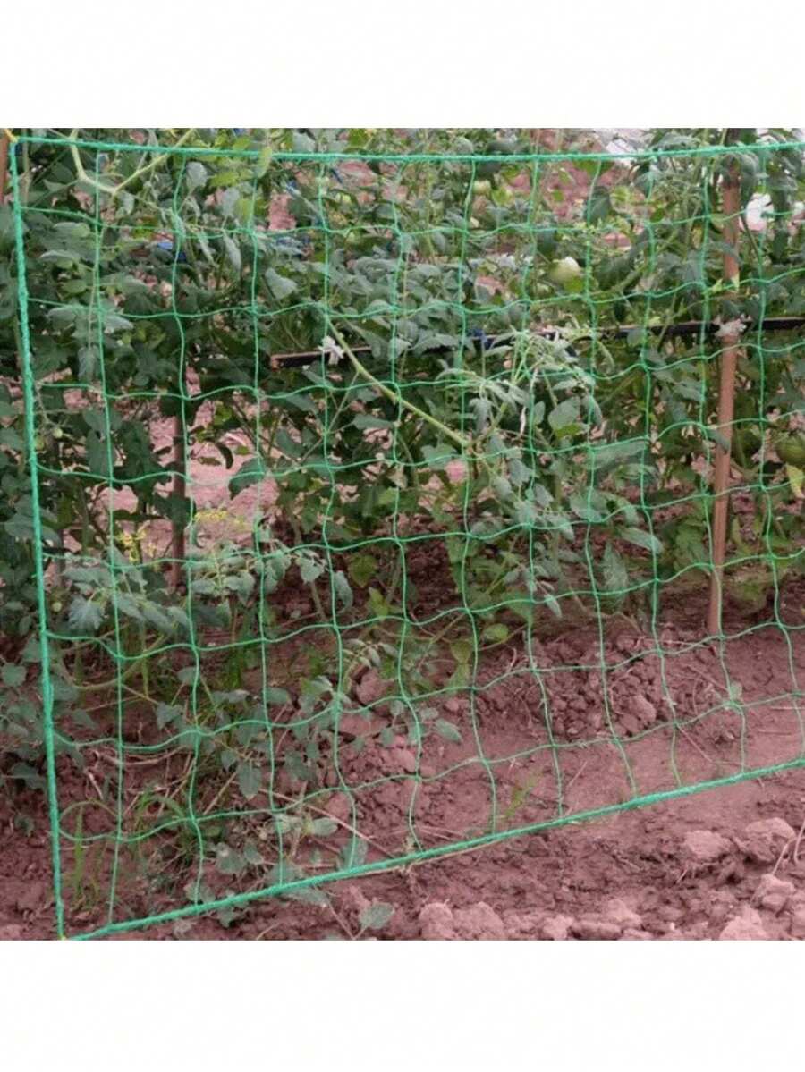1件裝植物攀爬網 綠色正方形網格 吊掛式小黃瓜網格架 附雛菊花飾 防風防塌園藝用網 - 多色 - 查看 1