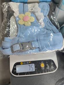 1套可愛花卉蕾絲寵物胸背帶 PETSIN 裙裝附牽繩，荷葉邊公主背心套裝適用於小型犬貓，透氣散步胸背帶可調節、便攜、輕量 - 彩色 - 查看 13