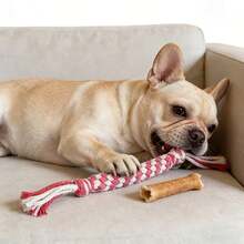 Dog Tug Of War Toy, Heavy Duty Extra Long Tug Rope Toy - Extra Thick Anti-Bite Rope Suitable For Large And Medium Dogs - Aggressive Chewers, Heavy Chewers, Puppies - Interactive Fetch, Obstacle Course, Training - Durable Pet Chew Toy For Jaw Exercise And Dental Health - Multicolor - View 6