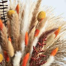 25-100Pcs Artificial Reed Grass Bouquet Bohemian Simulation Cattail Feather Stalk For Wedding Centerpieces Bedroom Vase Home Room Decoration DIY Wreath Making Birthday Anniversary Halloween Thanksgiving Christmas Party Supplies - Orange E - View 6