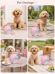 Minimalist Portable Pet Bottle With Thick Lanyard Durable Stainless Steel Dog Waterer For Puppy Kitten Sleek Puppy Drinking Flask Perfect For Reliable Daily Walking Running Gear 2 Colors Pet Travel Supplies - 彩色 - 查看 5