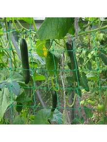 1件裝植物攀爬網 綠色正方形網格 吊掛式小黃瓜網格架 附雛菊花飾 防風防塌園藝用網 - 多色 - 查看 5
