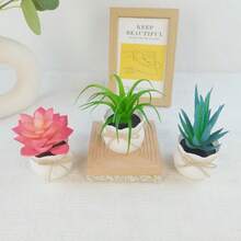 3PCS Mini Artificial Daffodil Chrysanthemum Succulent Potted Plants, Plastic Flower Pots, Suitable For Home Office Restaurant Desktop, Windowsill, Shelf Decoration, Photography Props Bonsai, Wedding, Gift - Multicolor - View 14