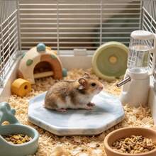 Hamster Cooling Pad, Anti-Bite Anti-Flip, Random Texture, Easy To Clean, Perfect For Cooling Hamsters In Summer, Also Suitable For Small Pet Cages And Landscape Decor. Suitable For Small Hamsters. - View 8