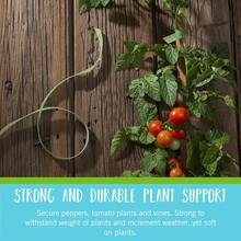ONE-WRAP Garden Ties | Plant Supports For Effective Growing | Strong Grips Are Reusable And Adjustable | Cut-To-Length, 50 Ft X 1/2 In, Green- Plastic - A - View 3