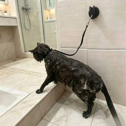 2 pezzi Set di contenimento per il bagno degli animali domestici premium aggiornato, guinzaglio/collare da bagno regolabile per la toelettatura, impedisce agli animali domestici di scappare. Adatto per gatti e cani di piccola e media taglia per il bagno/taglio/toelettatura. Forniture perfette per il bagno e la pulizia degli animali domestici in estate