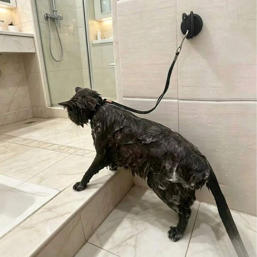 2pcs Premium Upgraded Pet Bathing Restraint Set, Adjustable Pet Grooming Leash/Bath Collar, Prevents Pets From Escaping. Suitable For Cats And Small To Medium Dogs Bathing/Trimming/Grooming. Perfect Summer Pet Bathing And Cleaning Supplies