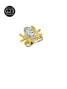 1pc G23 Titanium Gold Flower Heart Moon Spider Butterfly Cross Pentagram Zirconia Inlaid Stud, Suitable For Daily Wear - Gold - View 15