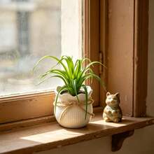 3PCS Mini Artificial Daffodil Chrysanthemum Succulent Potted Plants, Plastic Flower Pots, Suitable For Home Office Restaurant Desktop, Windowsill, Shelf Decoration, Photography Props Bonsai, Wedding, Gift - Multicolor - View 11
