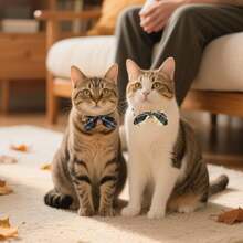 Dolaer Cat Collar Breakaway With Bowtie And Bells, 2 Pack Cute Bunny Ear Kitten Collars, Classic Plaid Design With Safety Buckle Adjustable For Small Large Cats Boys & Girls - Heart - View 7