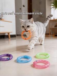 3pcs Cute Cat Soft Mesh Management Cat Self-Entertainment Donut, Colorful Macaron Spiral Spring, Indoor Interactive Toy Set, Suitable For Cat Hunting, Pouncing, Chewing, Bringing Endless Fun And Exercise, Suitable For All Cats - Multicolor - View 2