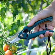 Garden Pruning Shears Stainless Steel Fruit Picking Scissors Multifunctional Plant Stem Branch Trimming Cutter For Strawberry Cherry Vegetable Harvesting - 1Pc Green - View 1