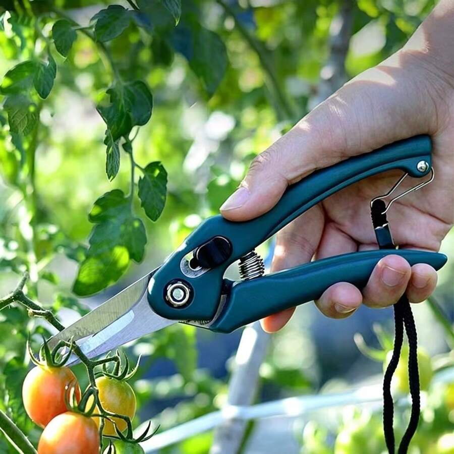 Garden Pruning Shears Stainless Steel Fruit Picking Scissors Multifunctional Plant Stem Branch Trimming Cutter For Strawberry Cherry Vegetable Harvesting - 1Pc Green - View 1