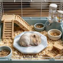 Hamster Cooling Pad, Anti-Bite Anti-Flip, Random Texture, Easy To Clean, Perfect For Cooling Hamsters In Summer, Also Suitable For Small Pet Cages And Landscape Decor. Suitable For Small Hamsters. - View 2