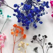 100/50pcs White Baby's Breath Mini Artificial Flowers - Vibrant Dyed Faux Flowers, Suitable For Wedding Decor, Invitation Envelope Decor, DIY Crafts, Corsages, Home Decor, Tabletop Decor, Office Decor - Multicolor - View 2