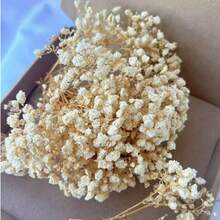 100/50pcs White Baby's Breath Mini Artificial Flowers - Vibrant Dyed Faux Flowers, Suitable For Wedding Decor, Invitation Envelope Decor, DIY Crafts, Corsages, Home Decor, Tabletop Decor, Office Decor - Multicolor - View 8