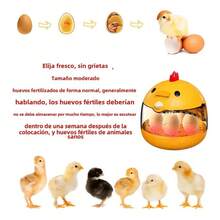 Automatic Egg Incubator For 5 Eggs - Small And Portable - Yellow - View 9