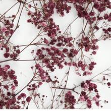100/50pcs White Baby's Breath Mini Artificial Flowers - Vibrant Dyed Faux Flowers, Suitable For Wedding Decor, Invitation Envelope Decor, DIY Crafts, Corsages, Home Decor, Tabletop Decor, Office Decor - Multicolor - View 9