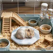 Hamster Cooling Pad, Anti-Bite Anti-Flip, Random Texture, Easy To Clean, Perfect For Cooling Hamsters In Summer, Also Suitable For Small Pet Cages And Landscape Decor. Suitable For Small Hamsters. - View 10