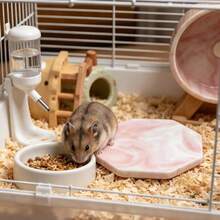 Hamster Cooling Pad, Anti-Bite Anti-Flip, Random Texture, Easy To Clean, Perfect For Cooling Hamsters In Summer, Also Suitable For Small Pet Cages And Landscape Decor. Suitable For Small Hamsters. - View 6