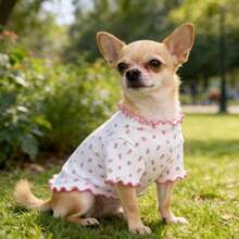 Spring/Summer/Autumn Pet Elastic Ice Silk Lace Trim Inner Vest, Thin Breathable Short Sleeve Dog/Cat Universal Top - Red and White - View 12