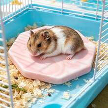 1 buah Alas Pendingin Musim Panas untuk Hamster, Piring Pendingin Keramik Segi Delapan/Bulat dengan Pola Marmer, Piring Pendingin Keramik untuk Hamster, Alas Pendingin untuk Meredakan Panas pada Hewan Peliharaan Kecil, Alas Tidur dan Istirahat di Kandang - View 6