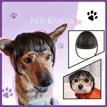 Pet Synthetic Fiber Wig For Dogs And Cats, Straight Bangs, Non-Shedding, Funny Prank Holiday Prop, Fake Bangs For Daily Wear And Holiday Party, Halloween - Multicolor - View 1