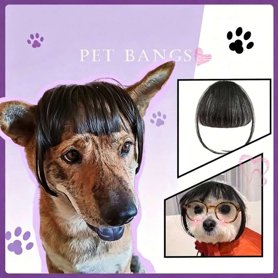 Pet Synthetic Fiber Wig For Dogs And Cats, Straight Bangs, Non-Shedding, Funny Prank Holiday Prop, Fake Bangs For Daily Wear And Holiday Party, Halloween - Multicolor - View 1
