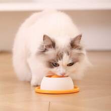 Mainan Tempat Menyimpan Makanan Hewan Peliharaan, Alat Pemberi Makan yang Menyenangkan untuk Kucing dan Anjing, Alat Hiburan Mandiri untuk Mengatasi Kebosanan, Mangkuk Pemberi Makan Lambat Anti-Tumpah - MultiWarna - View 8