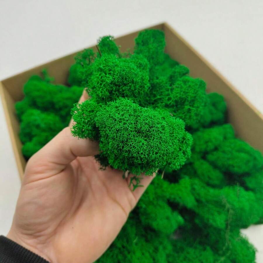 1盒人造苔蘚，永恆苔蘚，適用於家居裝飾、節日攝影道具、仙女花園、水晶缸、手工藝品與婚禮、DIY花園魚缸裝飾 - 綠色 - 查看 1