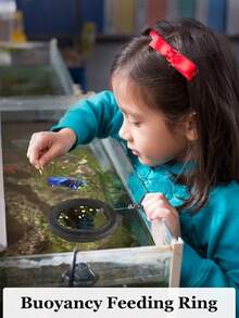 Black Fish Feeding Ring, Circular Feeder Design, No Battery Required - Black - View 5