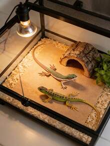 4Pcs Realistic Simulation Lizard Model – Static Solid Reptile Figurines Including Monitor Lizard, Iguana & Frilled Lizard | Halloween Prank Props, Pet Cat Dog Toy, Holiday Party Gift & Home Decoration - View 6