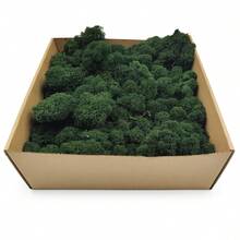 1盒人造苔蘚，永恆苔蘚，適用於家居裝飾、節日攝影道具、仙女花園、水晶缸、手工藝品與婚禮、DIY花園水族箱裝飾 - 黑綠色1 - 查看 3
